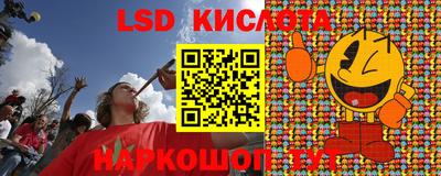 ПСИЛОЦИБИНОВЫЕ ГРИБЫ Новозыбков
